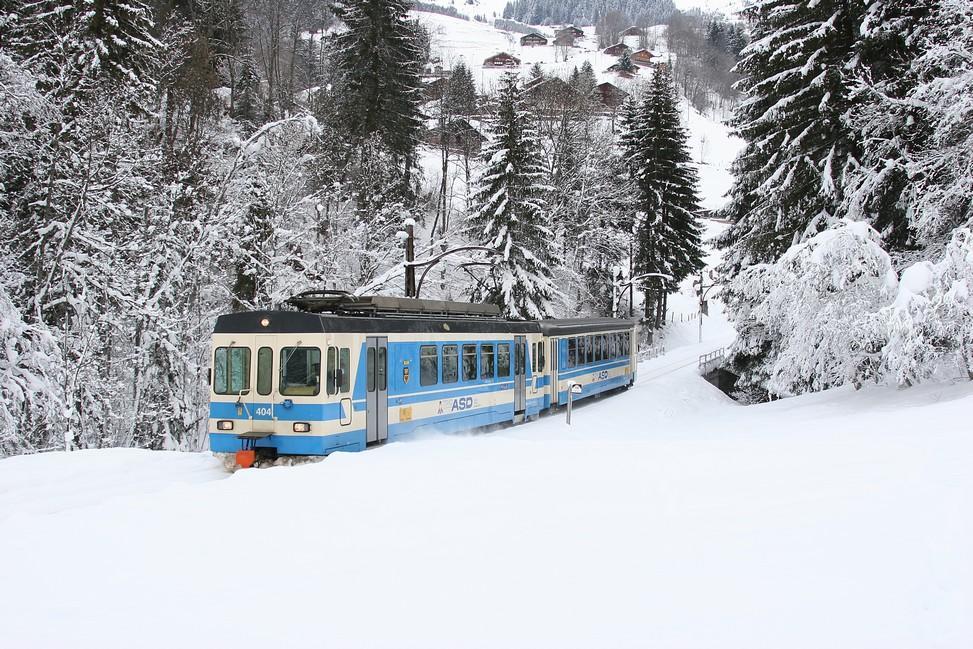 Le Sépey Chalet Dianaヴィラ 部屋 写真